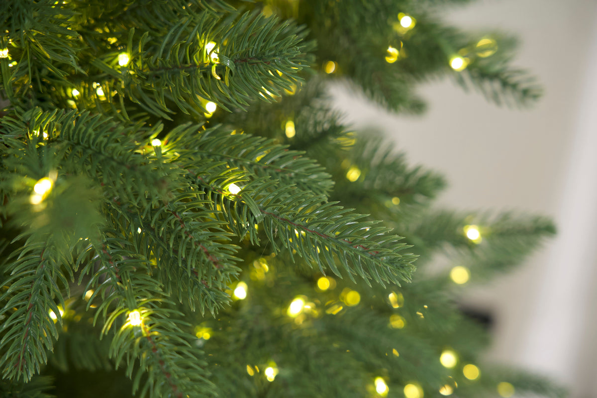 Alberi di Natale Pre-Illuminati