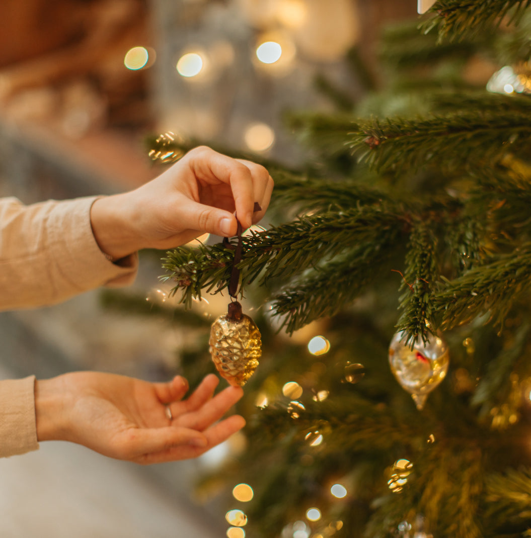 Alberi di Natale Verdi
