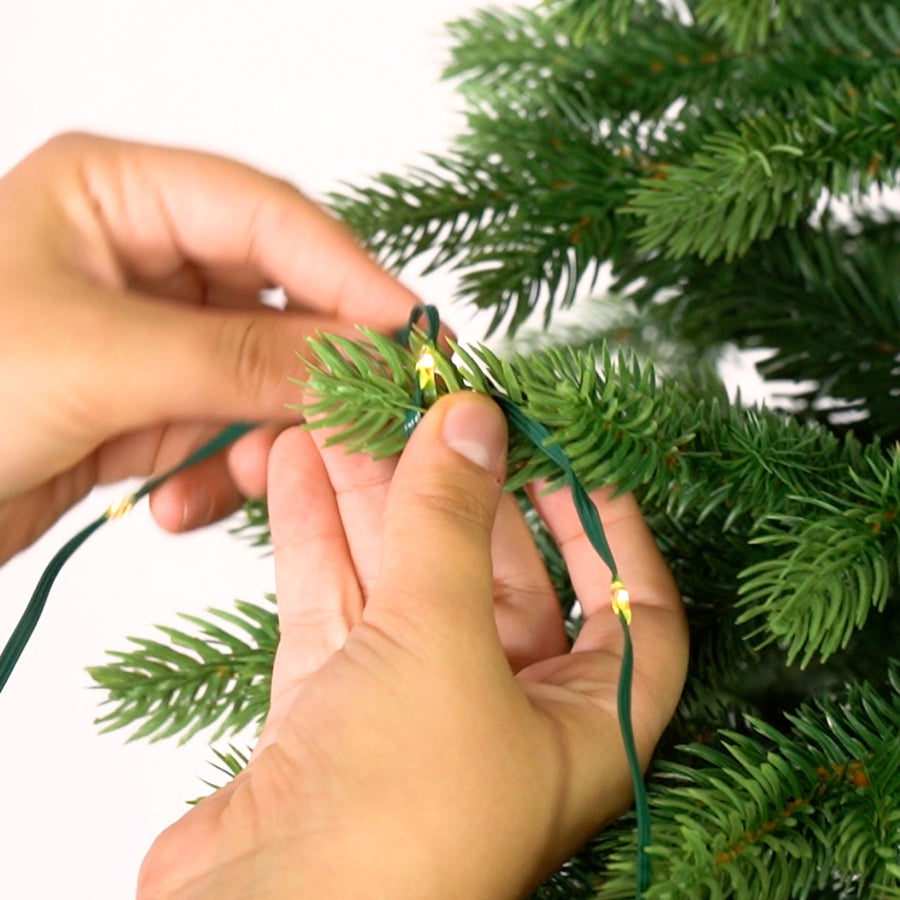 Kit Albero Narciso + Microled e Borsa Omaggio